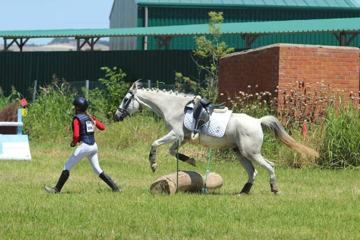 chica con un caballo blanco